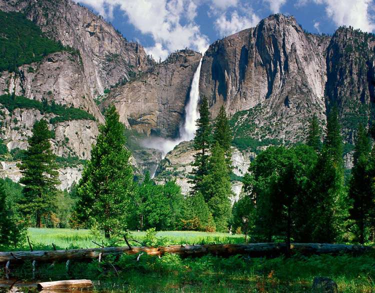 Yosemite NP